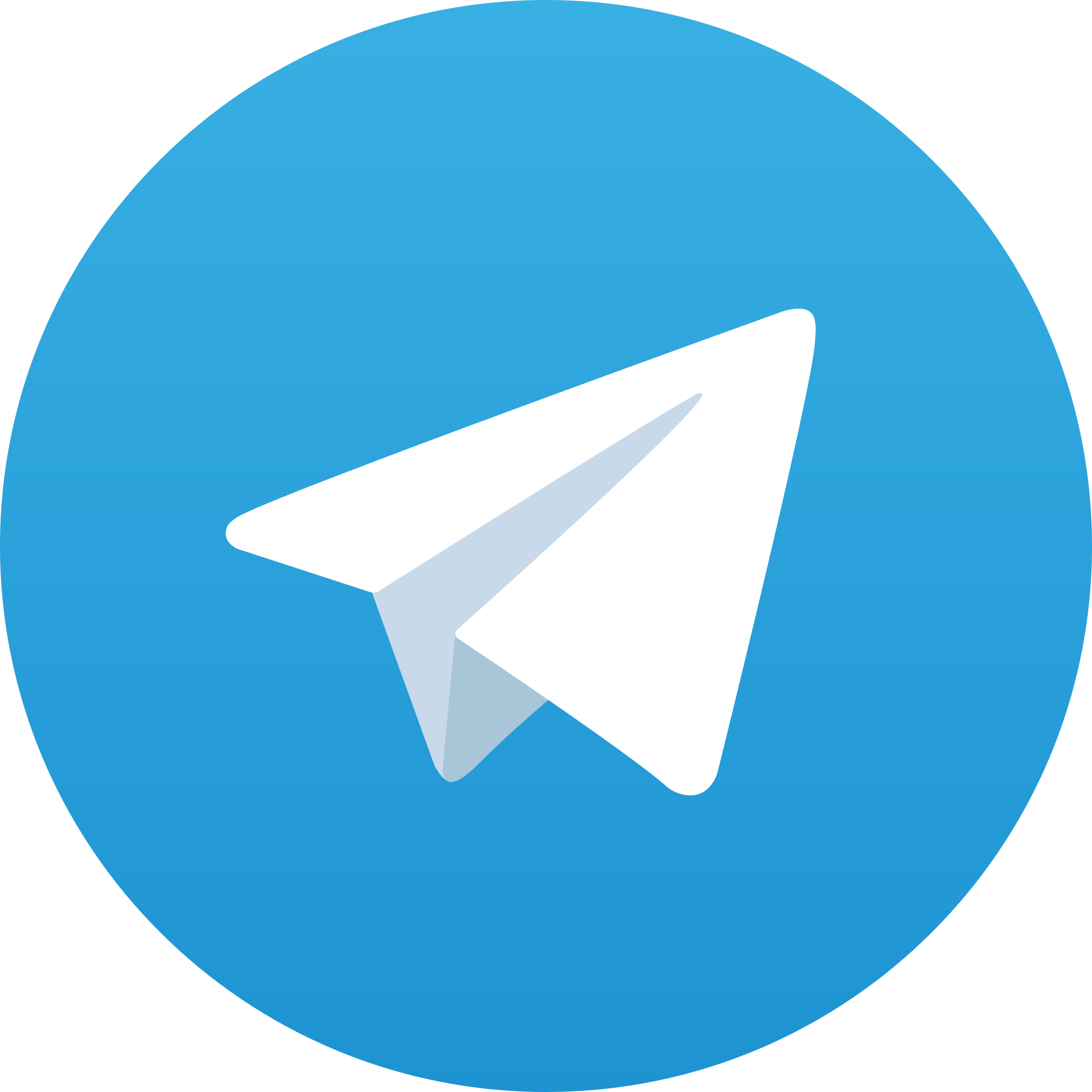 Ícono de Telegram